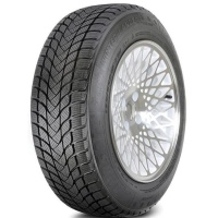 Фото автомобильной шины Landsail Winter Lander 255/50 R20 109H XL