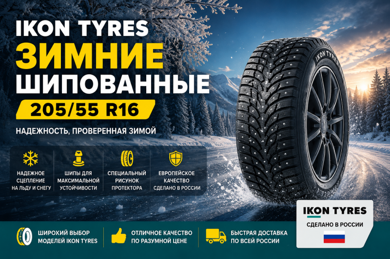 Зимние шины Ikon Tyres 205/55 R16