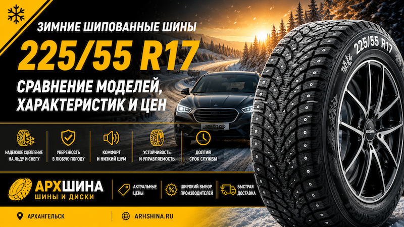 Зимние шипованные шины 225/55 R17 — сравнение моделей, характеристик и цен