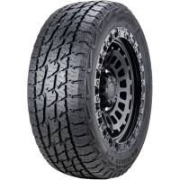 Купить шины Landspider WildTraxx A/T 275/60 R20 119T XL RWL,  купить Шины Landspider WildTraxx A/T 275/60 R20 119T XL RWL в Архангельске,Северодвинске, Новодвинске, Плесецке, Мирном, Нарьян-маре,