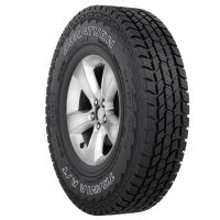 Купить шины Duraturn Travia A/T 215/75 R15 100T,  купить Шины Duraturn Travia A/T 215/75 R15 100T в Архангельске,Северодвинске, Новодвинске, Плесецке, Мирном, Нарьян-маре,