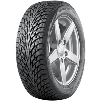 Купить шины Nokian Tyres Hakkapeliitta R2 215/45 R20 95R,  купить Шины Nokian Tyres Hakkapeliitta R2 215/45 R20 95R в Архангельске,Северодвинске, Новодвинске, Плесецке, Мирном, Нарьян-маре,