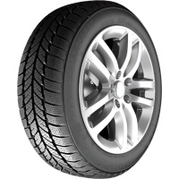 Купить шины RoadX RXFrost WH01 245/70 R16 107T,  купить Шины RoadX RXFrost WH01 245/70 R16 107T в Архангельске,Северодвинске, Новодвинске, Плесецке, Мирном, Нарьян-маре,