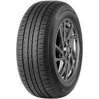 Фото автомобильной шины Fronway Ecogreen 66 205/55 R16 91V