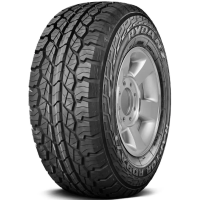 Купить шины Rydanz Raptor R09 A/T 285/60 R18 120H,  купить Шины Rydanz Raptor R09 A/T 285/60 R18 120H в Архангельске,Северодвинске, Новодвинске, Плесецке, Мирном, Нарьян-маре,