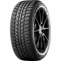 Купить шины Evergreen EW62 205/60 R16 96H,  купить Шины Evergreen EW62 205/60 R16 96H в Архангельске,Северодвинске, Новодвинске, Плесецке, Мирном, Нарьян-маре,