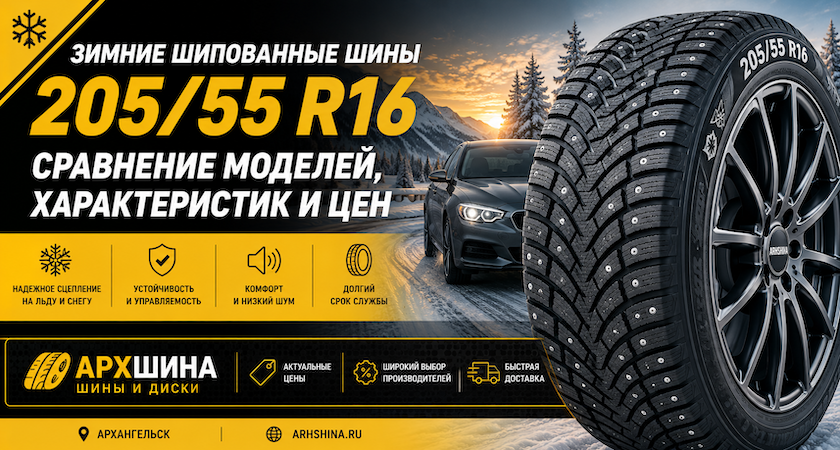 Зимние шипованные шины 205/55 R16 — сравнение моделей, характеристик и цен