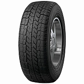Фото автомобильной шины Business CW2