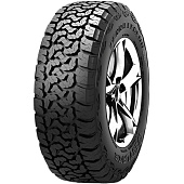Фото автомобильной шины Terra Legend SL399