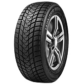 Фото автомобильной шины Winter WD1