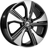 CHG1