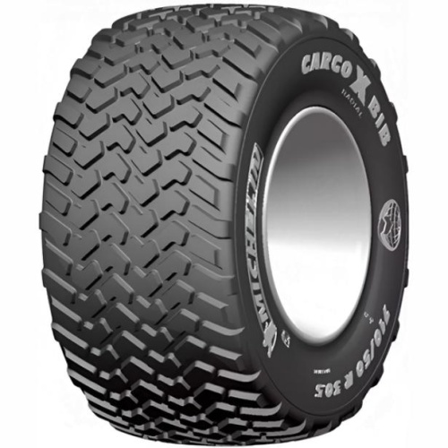 Фото грузовой шины Michelin CargoXbib 600/60 R30.5 169D