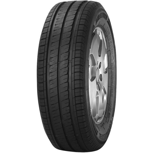 Фото автомобильной шины Duraturn Travia Van 205/65 R16C 107/105T
