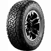 Фото автомобильной шины CF1100