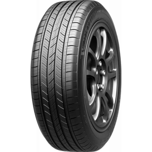 Фото автомобильной шины Michelin Primacy All Season 255/60 R20 113Y XL LR