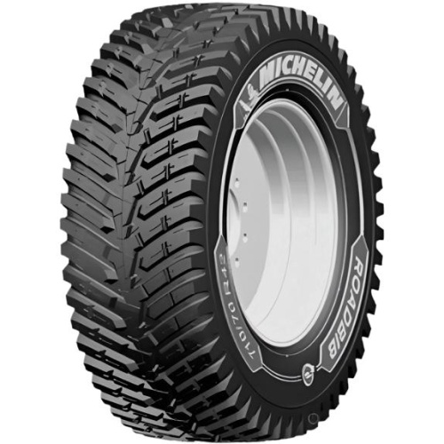 Фото грузовой шины Michelin Roadbib 710/70 R42 173D