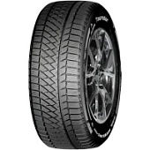 Winter Pro TSS2
