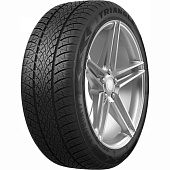 Фото автомобильной шины WinterX TW401