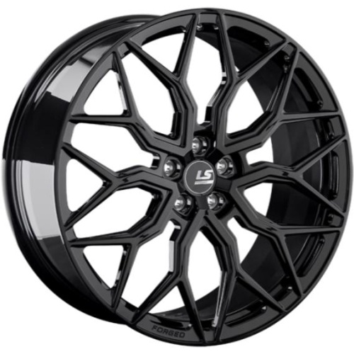 Фото колесного диска LS Forged FG13 10x22 5*112 ET20 DIA66.6 BK Кованый