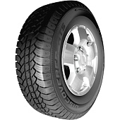 Фото автомобильной шины Discoverer ATS