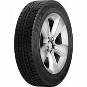 Фото автомобильной шины SR1