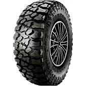 Фото автомобильной шины CF3300