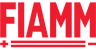 Фото аккумулятора FIAMM