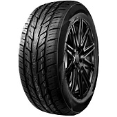 Фото автомобильной шины Speedking 07