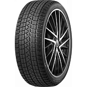 Фото автомобильной шины Winter Pro TSS1