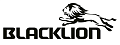 Фото автомобильной шины Blacklion