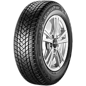 Фото автомобильной шины WinterPro 2